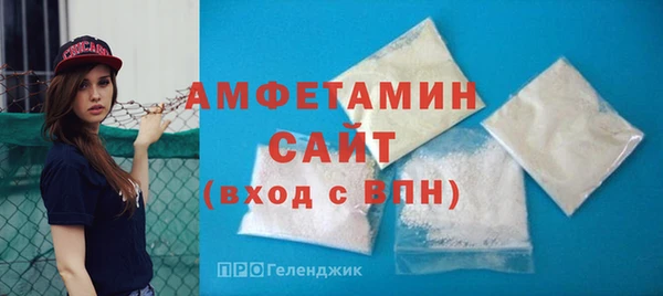 мет Алексин