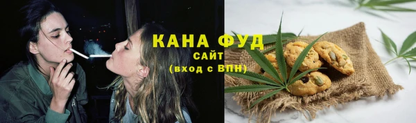 мет Алексин