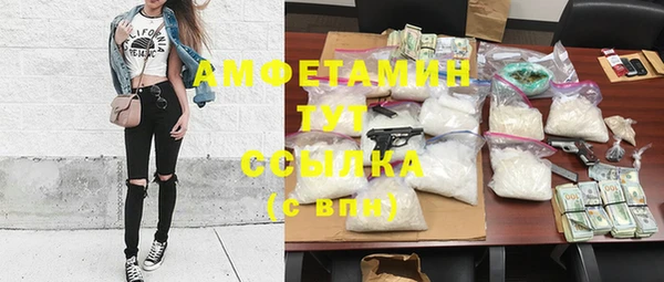 мет Алексин