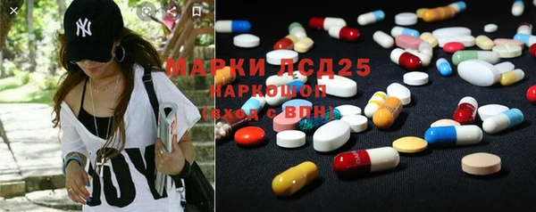 мет Алексин
