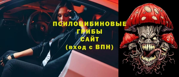 мет Алексин