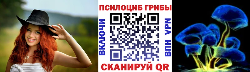 Галлюциногенные грибы Psilocybe купить наркоту Пенза